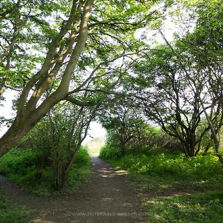 Ostseetraum Langholz Waabs